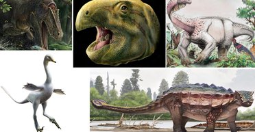 Перепись вымирания. 5 новых видов динозавров, открытых с прошлого года