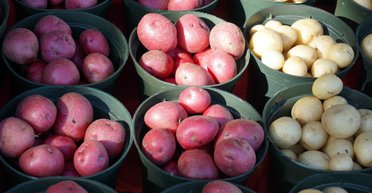 Урожай картоплі в Україні збільшується: як це вплинуло на ціни на овоч