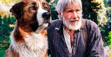 Собачья работа  Харрисона Форда. Стоит ли смотреть фильм "Зов предков"