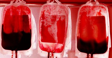 Прикладной вампиризм. Ученые выяснили, что свежая кровь действительно может омолаживать