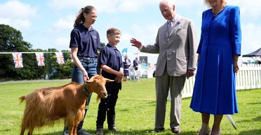 Чарльз ІІІ подарував королівський титул рідкісній породі кіз (фото)