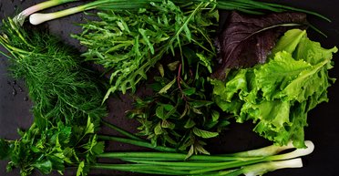 Не только вкус и цвет. Нутрициолог назвала 5 причин включить зелень в рацион