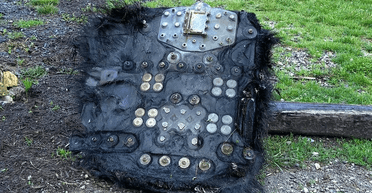 Пов'язаний з Ілоном Маском: розкрито правду про "волохатого НЛО" (фото, відео)