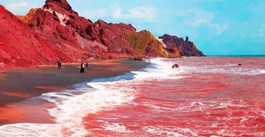 Апокалиптическое зрелище: воды Персидского залива окрасились в цвет крови (видео)