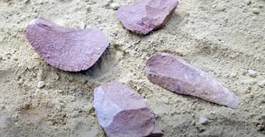 Знайдено перші інструменти на Землі: археологи впевнені, що їх створили не люди (фото)