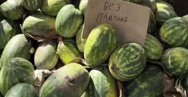 Забирайте даром: в Одессе нераспроданные арбузы выбросили посреди улицы (видео)