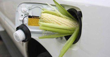 Плюс 80 копеек на литре: сколько будет стоить бензин со спиртом на АЗС и что это вообще такое