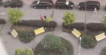 Виновник задержан: полиция озвучила детали стрельбы в Киеве (видео)