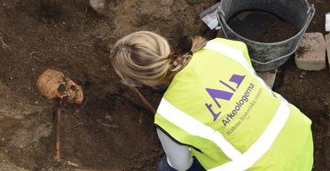 В могилах скандинавских воинов обнаружили сову без головы и набитые перьями подушки (фото)