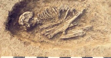 Найдавніші скам'янілі рештки людини в Японії виявилися зовсім не людськими (фото)