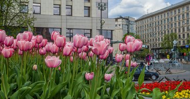 Рынок аренды обвалился: в каких городах можно получить хорошую скидку на аренду недвижимости