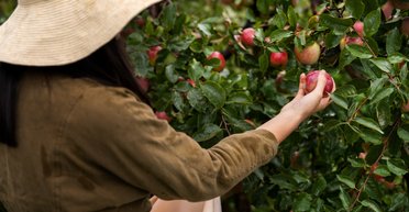 Месть зашла слишком далеко: женщину раскритиковали за ее поступок из-за действий соседей (фото)
