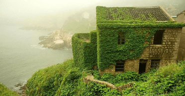 Покинуте село, поглинуте ліанами, стало туристичним дивом (фото)