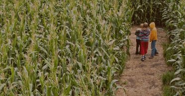 В США посетителям огромного лабиринта приходится звонить в полицию с просьбами о помощи (фото)