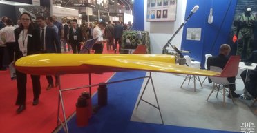 Польский "Шахед": в сети показали новейший ударный БПЛА PLargonia (фото)