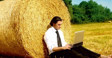 Украинские "белые воротнички" идут работать в поле