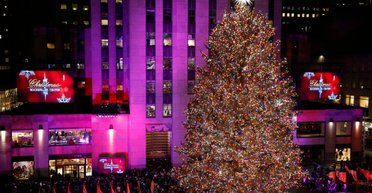 Дизайнерские новогодние елки в городах мира