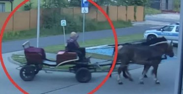 П'яний чоловік приїхав до поліції на коні, бо йому заборонили водити авто