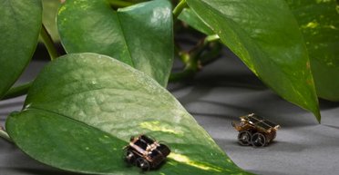 Потрібне тільки світло: робот-малютка MilliMobile може працювати нескінченно (відео)