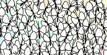 Тест на орлиний зір: людям необхідно помітити мураху серед метеликів за 8 секунд (відео)