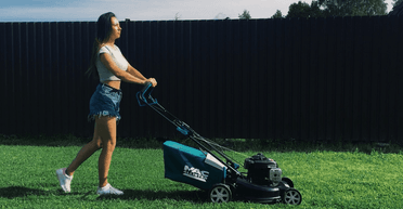 На подвір'ї виріс загадковий "ліс": жінка переїхала в новий будинок і помітила дещо на газоні