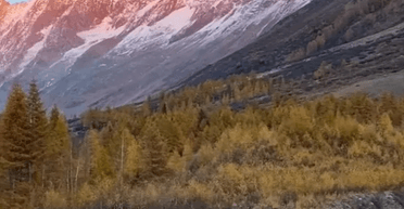 "Життя моєї мрії": подружжя показало свій "будиночок гобітів" на колесах (фото, відео)