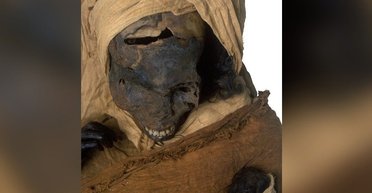 Изучив мумию египетского фараона, ученые выяснили ужасающие подробности его гибели