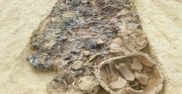 Откопали могилу правителя: археологи нашли неординарное захоронение на древнем некрополе (фото)