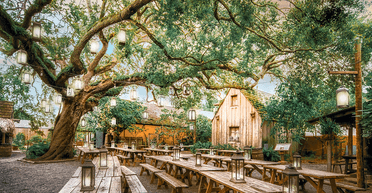 Краще ніж чоловіки: мешканка Канади розповіла про стосунки з деревом (фото)