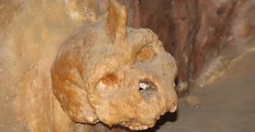 Йому 300 000 років: дивний череп не належав ні людині, ні неандертальцю (фото)