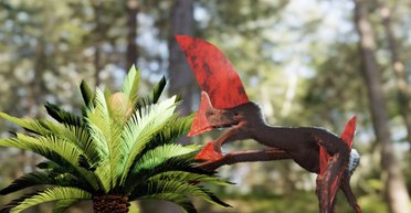 Полицейские вместо археологов. В Бразилии во время рейда нашли редкий скелет птерозавра