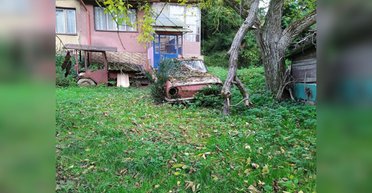 Владелец бесследно исчез: мужчина обнаружил в лесу жуткий заброшенный дом (фото)