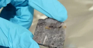 Биомасса возрастом 3,5 млрд лет: исследования неизвестной органики принесли неожиданные результаты