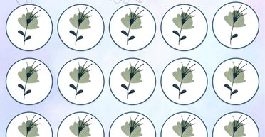 Интересная задача на внимательность: нужно отыскать одну необычную лилию среди 15 цветков (фото)