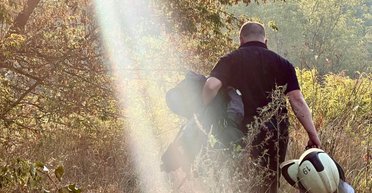 Били ракетами и Shahed: кадры последствий ночного удара ВС РФ по Киеву (фото)