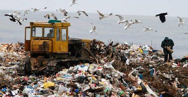 Мусорный ветер. Украина может стать одной большой Грибовичской свалкой
