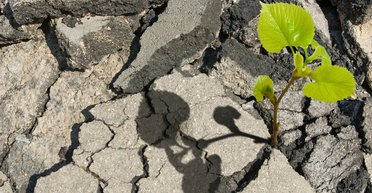 Сила веры. Во что инвестировать в новом году и как бизнес будет бороться с оттоком кадров