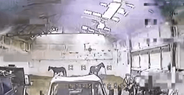 Лошади и "Лады": пилот дрона ВСУ рассказал о неожиданных находках на скрытом складе РФ (видео)