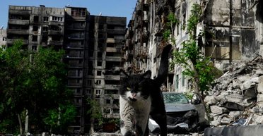 "Украинское лето" в Мариуполе: партизаны ликвидировали более двух десятков оккупантов