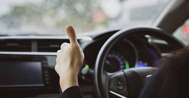 Водителей в Британии от штрафа могут "спасти" каштаны: подробности