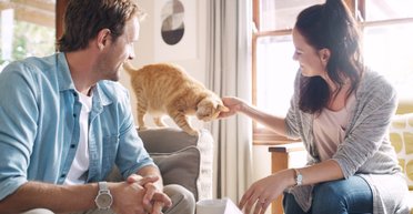 Тісний зв'язок: 10 ознак того, що ваша кішка вам безмежно довіряє