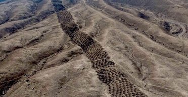 Тысячи лет назад нечто высекло более 5000 отверстий на горе в Перу: никто не знал, что это было (фото)