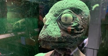 Ходили б на роботу й платили за комуналку: чи могли динозаври стати розумним видом