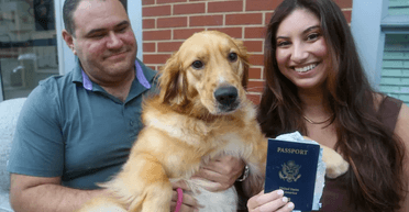 "Звучить як відмазка": собака згриз паспорт нареченого за тиждень до весілля (відео)