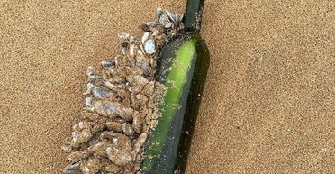 Океан виніс на берег записку пасажира круїзного лайнера, який відплив 16 років тому (фото)