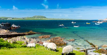 Райское место: людям предлагают бесплатное жилье, питание и премии за жизнь на острове