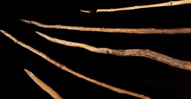 Кам'яний вік може виявитися дерев'яним: знайдено артефакти, які переписують історію