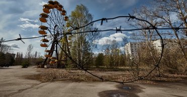 В Чернобыле биологи обнаружили животных, на которых не влияет радиация (фото)