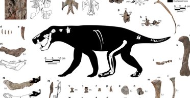 Знайдено найпершу тварину на Землі: який вигляд мала ця "чупакабра" (фото)