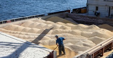 От 800 млн до 6 млрд: расследователи обнаружили схемы заработка РФ на ворованном украинском зерне